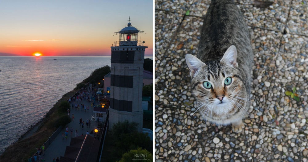 Анапский маяк і коти