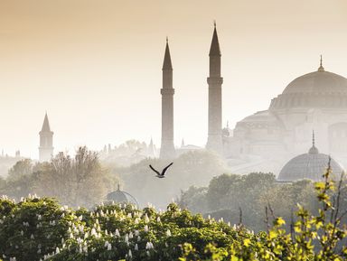 Послухати повнішу історію заснування Палацу османських правителів, їх укладу життя, а також легенди, пов'язані з Палацом Ви зможете в ході   екскурсії по Стамбулу