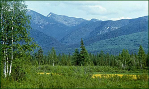 Природні заповідники - це ретельно охоронювані території, що володіють унікальною або, навпаки, типовою для даної місцевості фауною і флорою або відрізняються якимись особливостями ландшафту