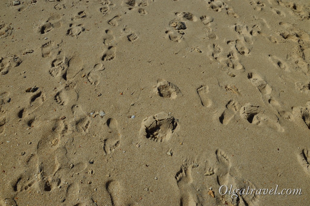 Пісок на Лонг бич світлий, але НЕ білий   Пісок на Лонг бич   У південній частині багато камінчиків в піску