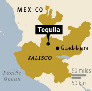 Дотримання цього правила регулюється зведенням стандартів Consejo Regulador del Tequila - урядової Ради з нагляду за виробництвом текіли