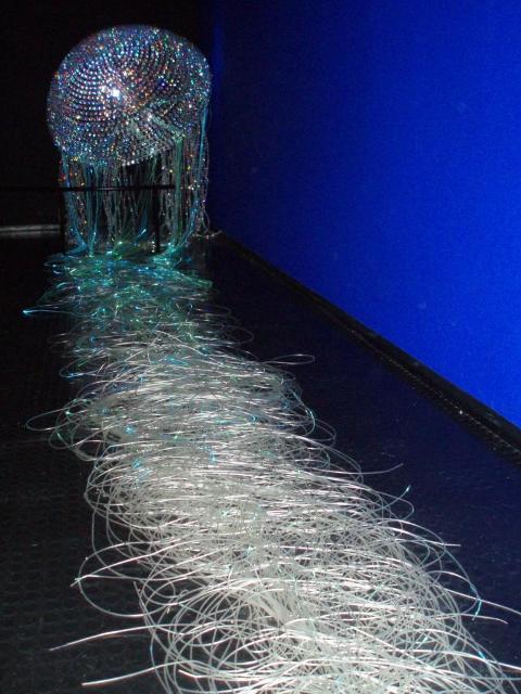 «Безмовний світ»   Медуза сифонофора   Рослина, що пожирає кристали   Оздоблення для коня індійського магараджі