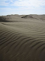Бархани Каракумський пісків - займають 7% рівнинних територій і є характерною формою піщаного рельєфу
