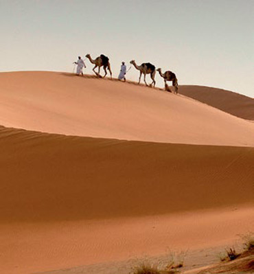 Каравани верблюдів найчастіше використовуються для розваги туристів
