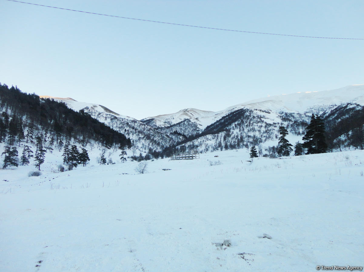Бакуріані - це не тільки захоплюючі спуски на лижах і сноубордах, це ще й ідеальне місце для тихого сімейного відпочинку