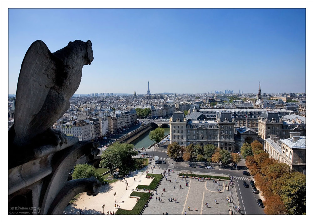 Париж з висоти дзвіниці Нотр-Дама:
