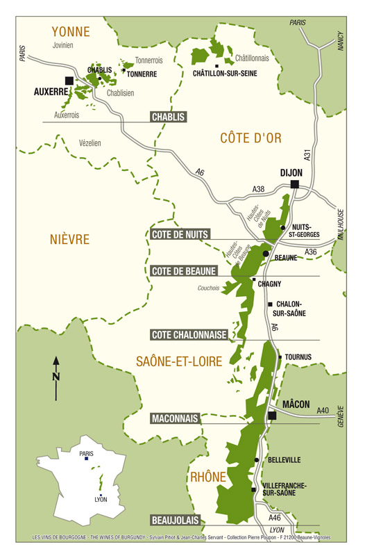 серцем   Бургундії   називають регіон Кот-д'Ор - «Золотий берег» в перекладі з французької