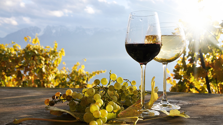 Як правило, в червоних винах сірки міститься менше, ніж в білих, в сухих - менше, ніж солодких, а в висококислотних - менше, ніж у варіантах з низькою кислотністю